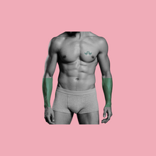 Load image into Gallery viewer, Lower Arms Laser